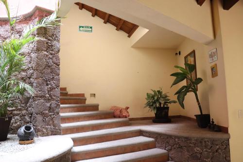 a set of stairs in a building with plants at Hotel Chocolate Suites in Guanajuato