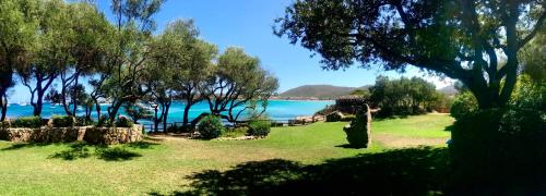 Paesaggio naturale nelle vicinanze dell'appartamento