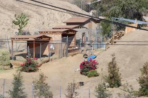 a small house with flowers in the dirt at RV quiet place in the mountain in Hemet