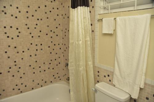 a bathroom with a white toilet and a shower at The flat@Waterloo in Kingston
