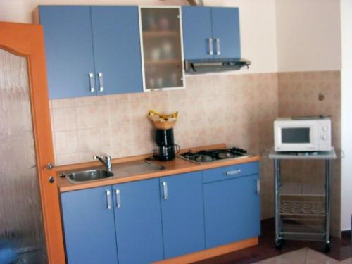 Η κουζίνα ή μικρή κουζίνα στο Apartment Irena