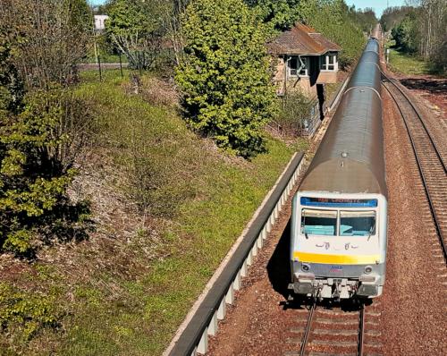 Ein Zug fährt die Gleise hinunter. in der Unterkunft Parkvilla Bad Lausick in Bad Lausick