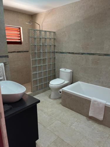 Cozy Oceanfront Room Hidden Treasure في تريجر آيلاند بيتش: حمام مع حوض ومرحاض ومغسلة