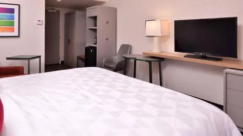 Holiday Inn & Suites Orlando - I-Drive - Theme Parks by IHG photo 4