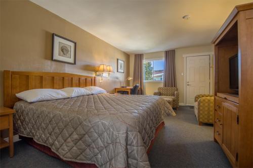 Habitación de hotel con cama y TV en Alpine Motor Inn, en Alma