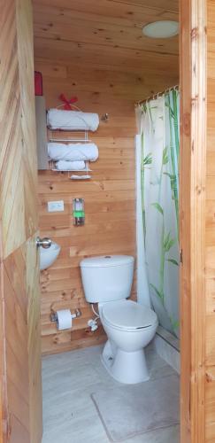 a wooden bathroom with a toilet and a sink at Cabaña Los Linos in Guasca