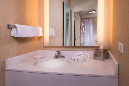 a bathroom with a sink and a mirror at SpringHill Suites by Marriott Gaithersburg in Gaithersburg