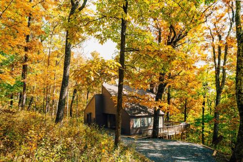 a cabin in the woods in the fall at Leaf-Peeping at Oak Ledge! Trails,Tastings,Peace in Lyndhurst