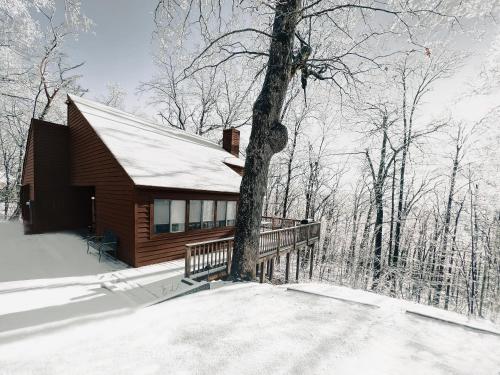 a cabin with a tree in the snow at Leaf-Peeping at Oak Ledge! Trails,Tastings,Peace in Lyndhurst