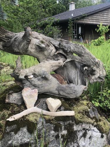 Фотография из галереи Boho Bungalow в городе Нельсон