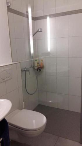 Koupelna v ubytování 1,5 Zimmer-Ferienwohnung WildhausLisighaus