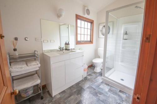 ein Badezimmer mit Dusche, Waschbecken und Toilette in der Unterkunft The Blacksmith's Cottage at Lisdillon Vineyard in Little Swanport