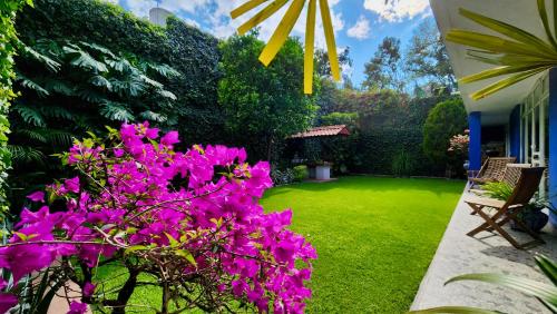un jardín con flores rosas y un patio verde en Casa Tamayo en Ciudad de México