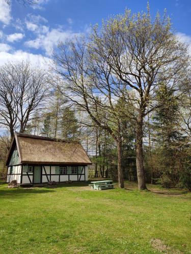 a building with a picnic table in a field at Małanka - kaszubska chëcz in Strzepcz