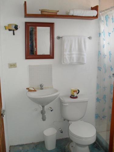 a bathroom with a toilet and a sink at Posada la Arcadia in Pedro Gonzalez