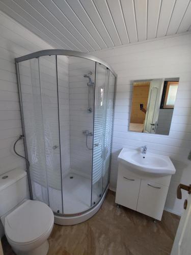 y baño con ducha, aseo y lavamanos. en Cabana Oprișor, en Ocna Sibiului