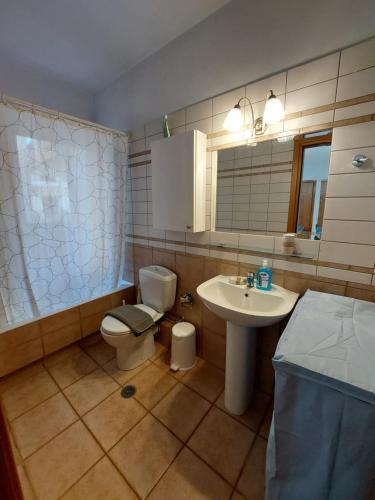 a bathroom with a toilet and a sink at Notos Guesthouse in Monemvasia