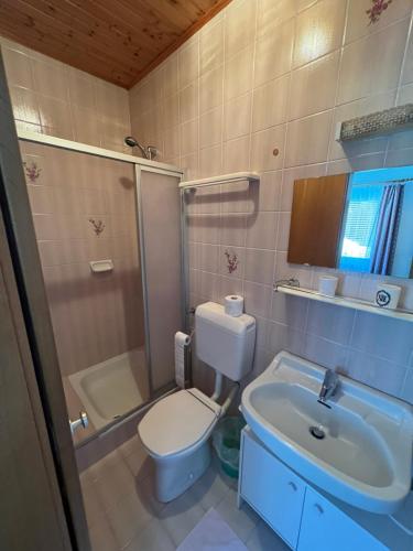 łazienka z toaletą i umywalką w obiekcie Frühstückspension Fini w mieście Unterburg am Klopeiner See