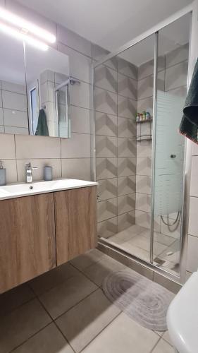 W łazience znajduje się prysznic, umywalka i lustro. w obiekcie Eretria Apartments EK9 w Erétrii