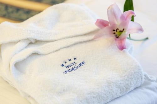 Fotografie z fotogalerie ubytování Hotel Ambassador v destinaci Tortoreto Lido