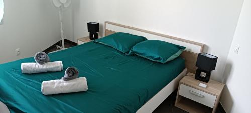 - une chambre dotée d'un lit vert avec des chaussures dans l'établissement La Sérénité, à La Châtre