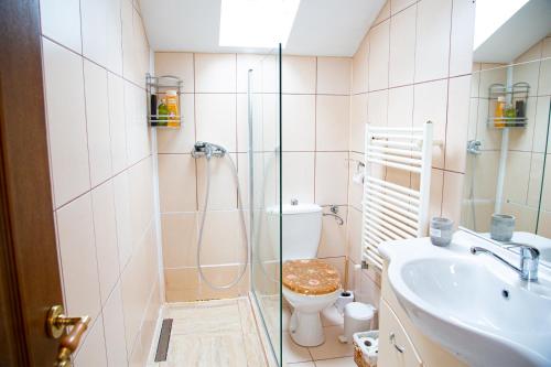 ein Bad mit einer Dusche, einem WC und einem Waschbecken in der Unterkunft Casuta-Lacului in Unciuc