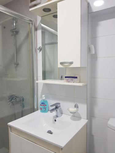 uma casa de banho com um lavatório, um chuveiro e um espelho. em Miro's Place em Skopje