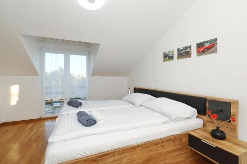 Gallery image of Apartments Oliva in Vrsi