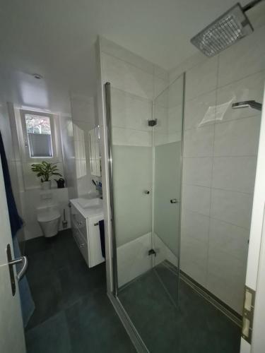 a bathroom with a shower and a toilet and a sink at Appartement au centre du village 4-6 personnes in Leysin