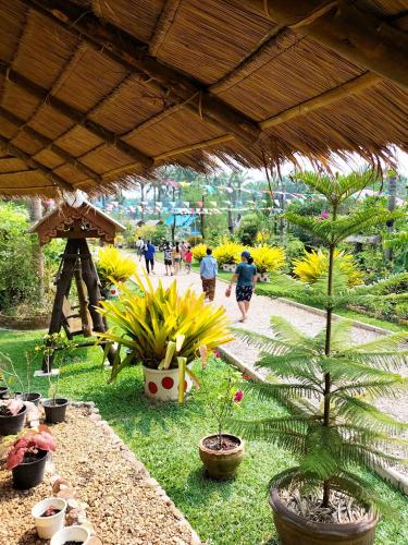 Taman di luar พรผู้สร้าง