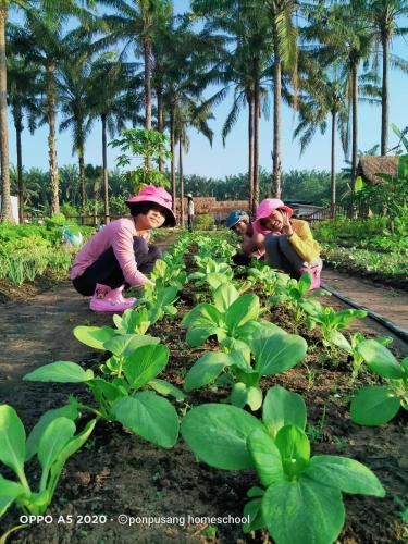 Tetamu yang menginap di พรผู้สร้าง