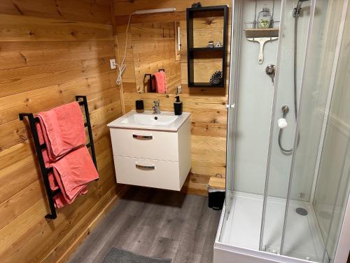 a bathroom with a shower and a sink at Chalet Chevreuil avec piscine privée in Lucéram