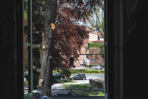 a view of a tree from a window at BELVEDERE Luxury Apartment, view on the Lucca Walls in Lucca