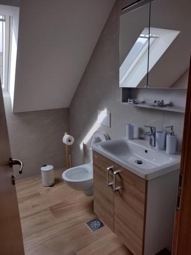 ein Bad mit einem Waschbecken und einem WC in der Unterkunft Pr' Hribar in Zgornje Gorje