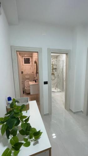 Apartments Rada
