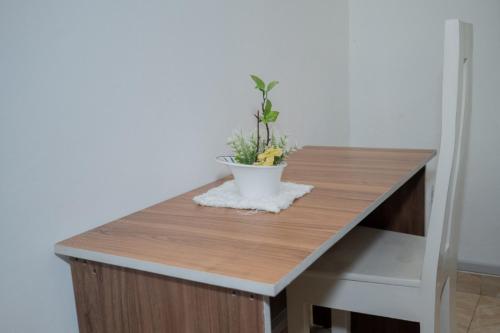 einen Tisch mit einer Topfpflanze darüber in der Unterkunft The city Block Apartment in Bujumbura