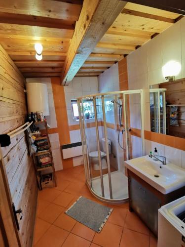 a bathroom with a shower and a sink at Drevenica Západné Tatry s kúpacou kaďou a krbom in Žiar