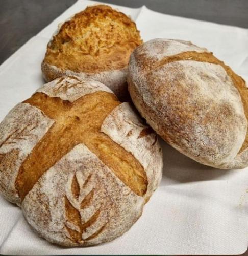 four loaves of bread sitting on a white plate at Relais CastelBigozzi in Monteriggioni