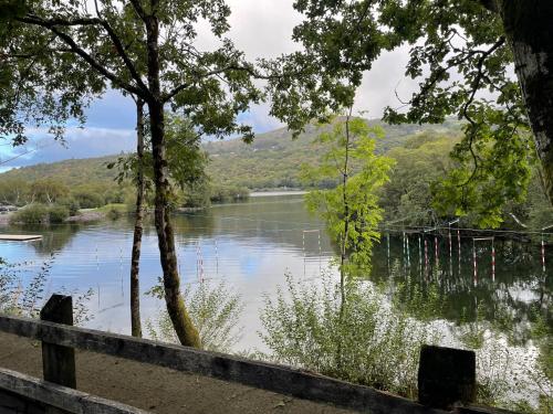 a view of a lake with a fence at River tents 