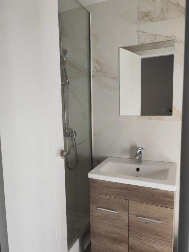a bathroom with a sink and a shower at HOSTAL GOLDEN 21*** in Madrid