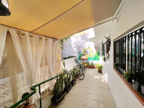 Balkón nebo terasa v ubytování Tenerife Experience Hostel