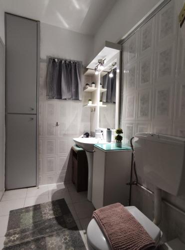 La salle de bains blanche est pourvue d'un lavabo et de toilettes. dans l'établissement Helena's Apartment 2 Agia Triada, à Thessalonique