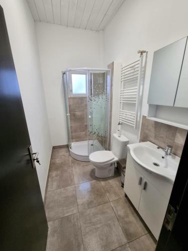 a white bathroom with a toilet and a sink at Cabana Căsaru in Colibiţa