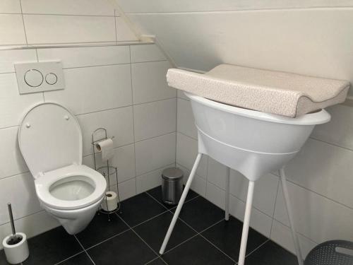 een witte badkamer met een toilet en een wastafel bij Reggezicht; Mooi huis op een prachtige plek! in Hellendoorn