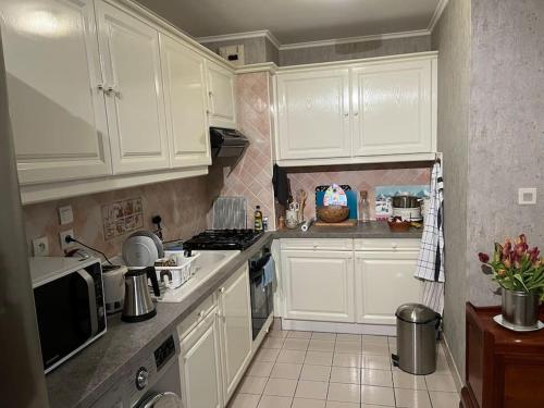 a kitchen with white cabinets and a stove top oven at Le Clos du Chateau Rouge 3* avec Parking securisé in Annemasse