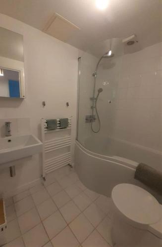 a bathroom with a shower and a toilet and a sink at 2 Bedroom Victorian Garden Flat in London