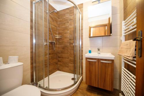 a bathroom with a shower and a toilet and a sink at Pod Břesteckou skalou in Břestek