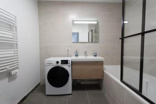 une salle de bain avec un lavabo et une machine à laver dans l'établissement Superb Apartment - Downtown Aix-en-Provence, à Aix-en-Provence