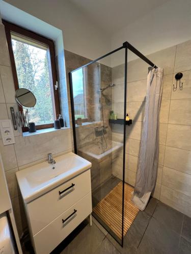 a bathroom with a shower and a sink at Borcsa Pihenőház in Mezőkövesd