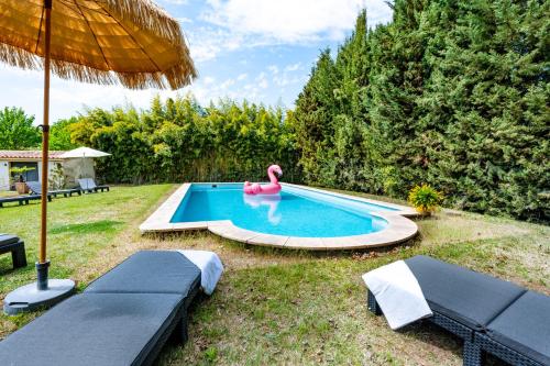 - une piscine avec un flamingo rose dans une cour dans l'établissement La Bastide des Joncquiers, à LʼIsle-sur-la-Sorgue